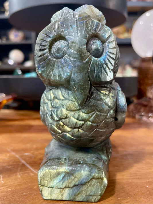 High quality labradorite owl